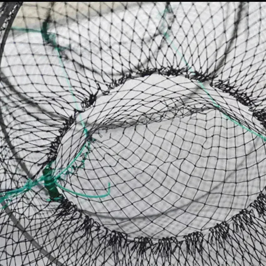 heavy-duty stainless steel mesh | collapsible fish trap | portable turtle trap | ultrasonic cleaning