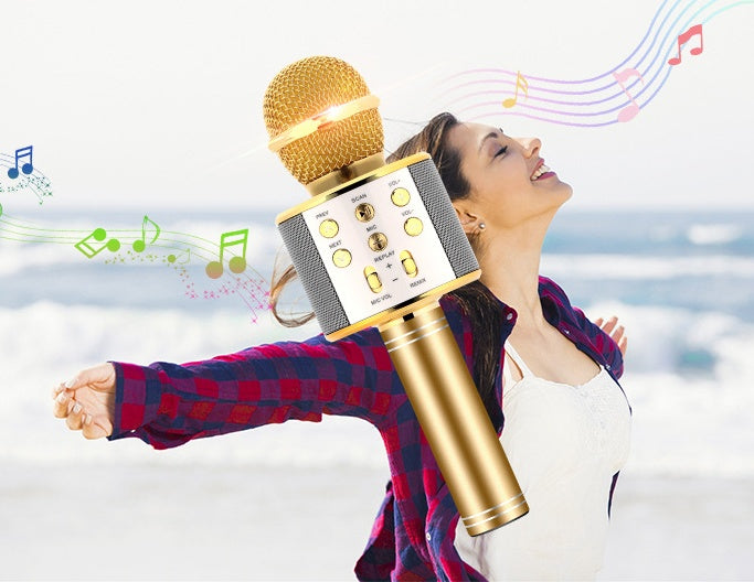 Wireless Microphone Portable Bluetooth Mini Home Ktv For Music Playing Singing Speaker Player 