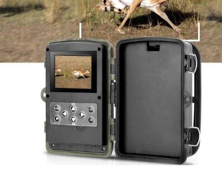 Wild hunting camera 