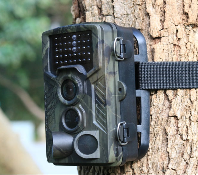 Wild hunting camera 