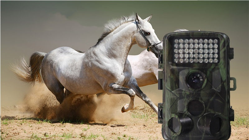 Wild hunting camera 