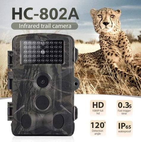 Wild hunting camera 